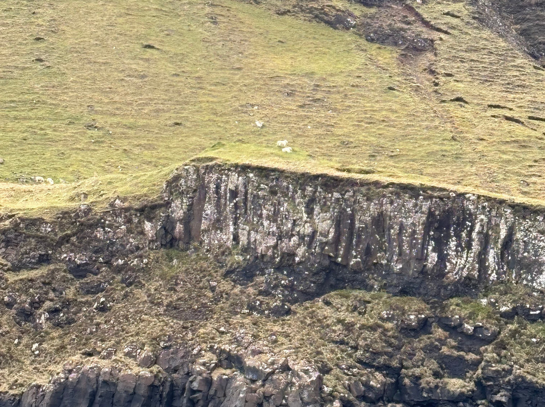 Stardust Boat Trips Portree-Portree必去景点