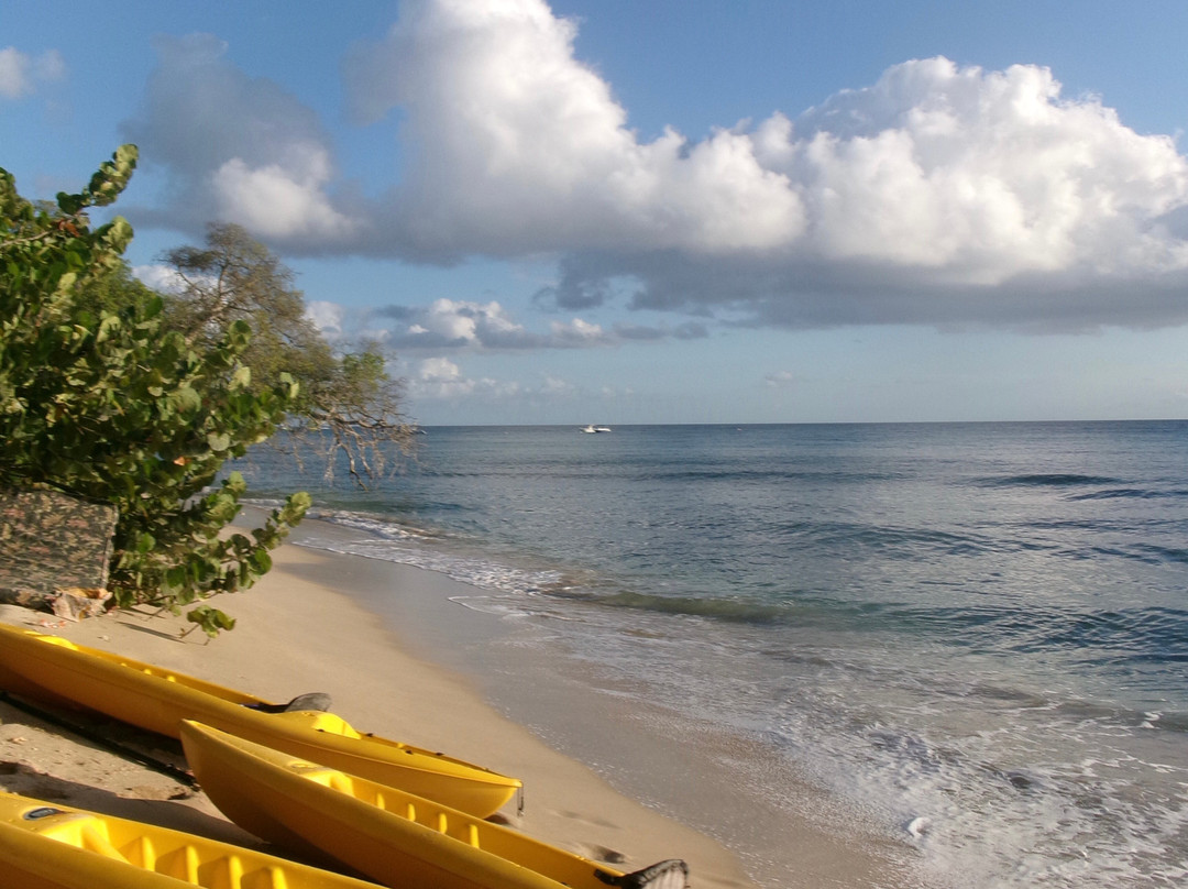 Kayaking Barbados-Saint Lucy Parish必去景点