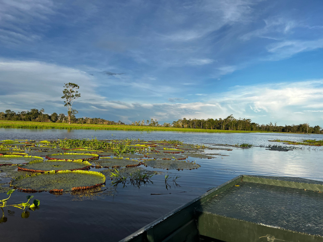 Amazon Green Tours-玛瑙斯必去景点