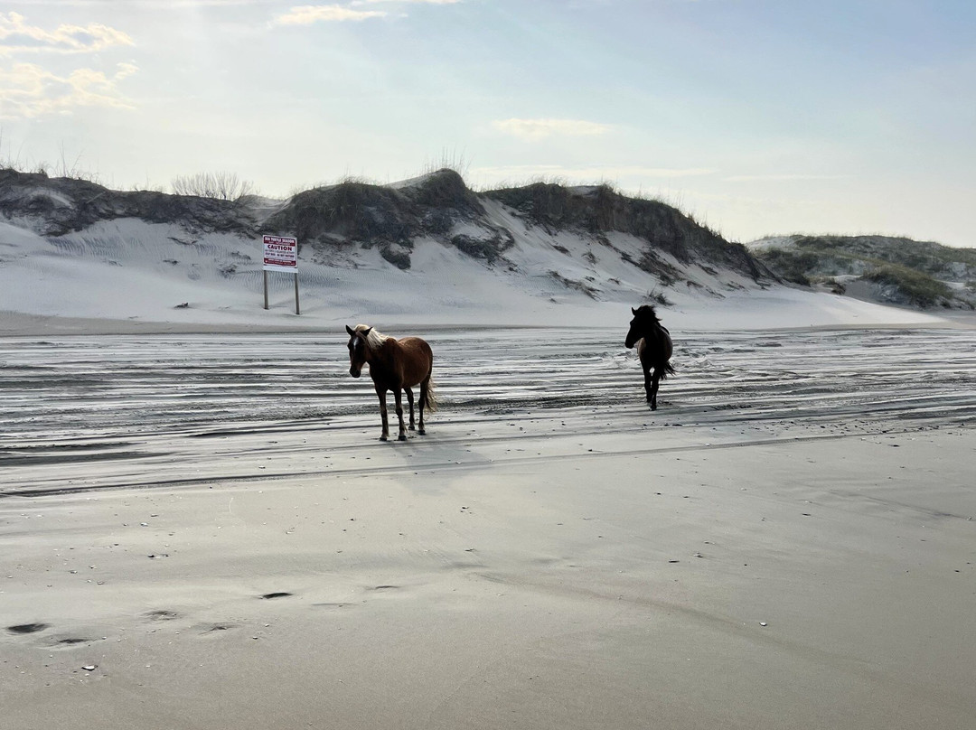 Currituck Beach-卡罗拉必去景点
