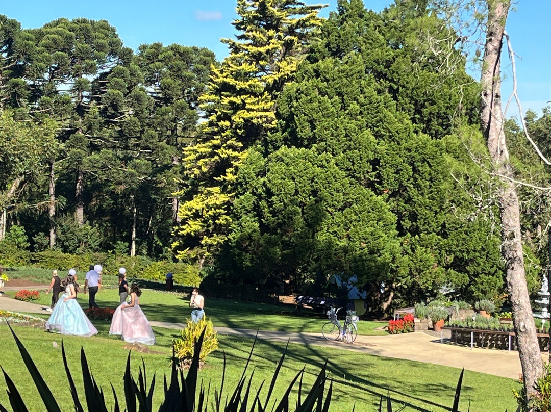 Le Jardin Parque de Lavanda-格拉玛多必去景点