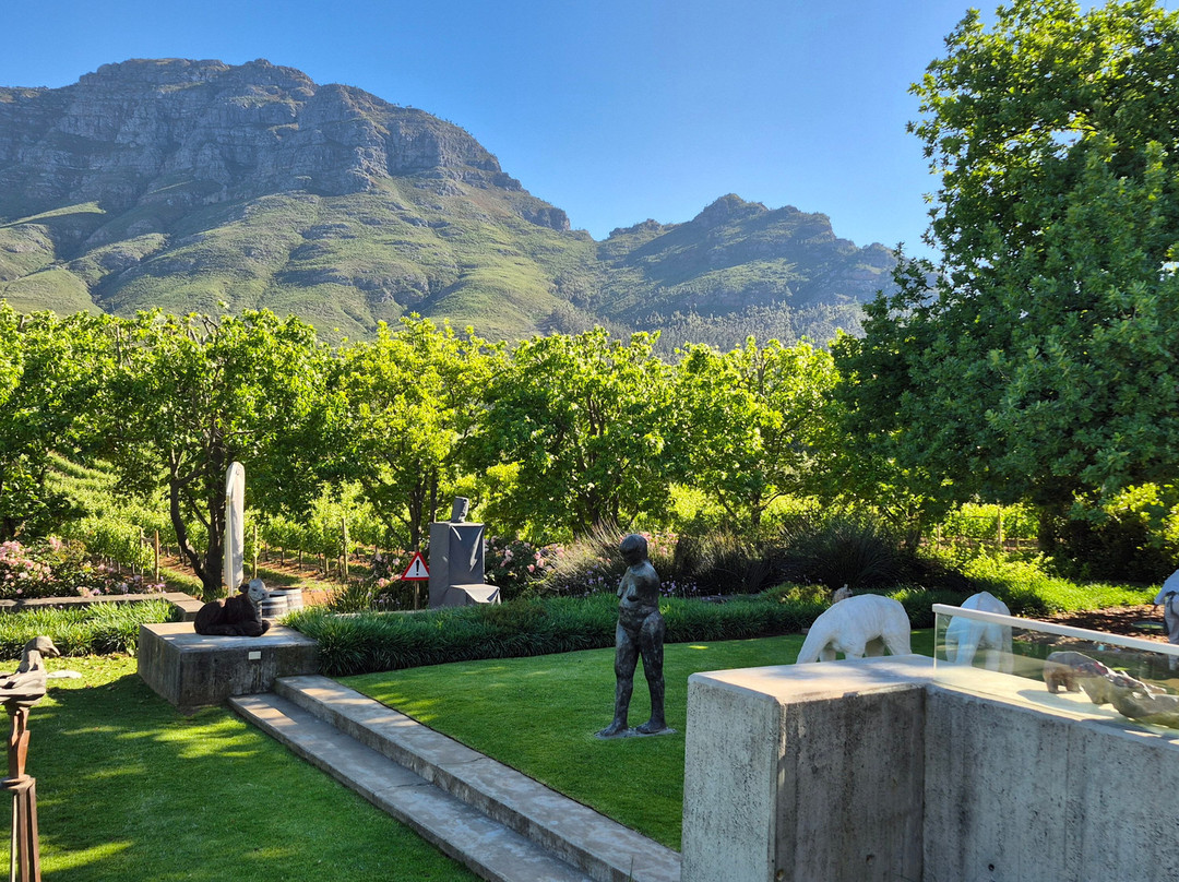 Cape Town Day Tours-Scarborough必去景点