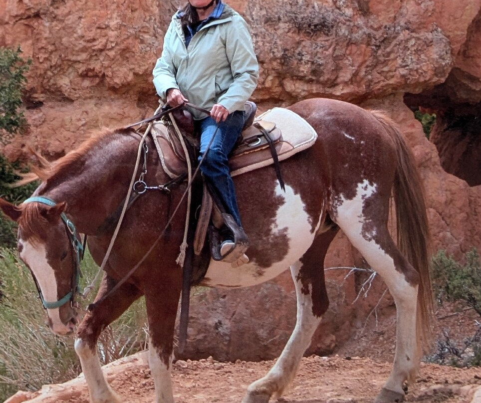 Canyon Trail Rides-特罗皮克必去景点