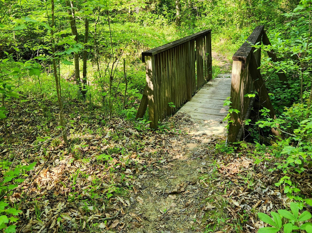 Big Ridge State Park-Maynardville必去景点