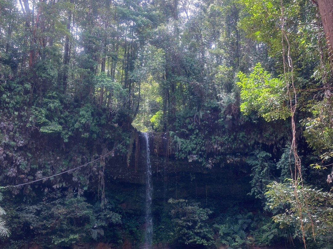 Lambir Hills National Park-美里必去景点