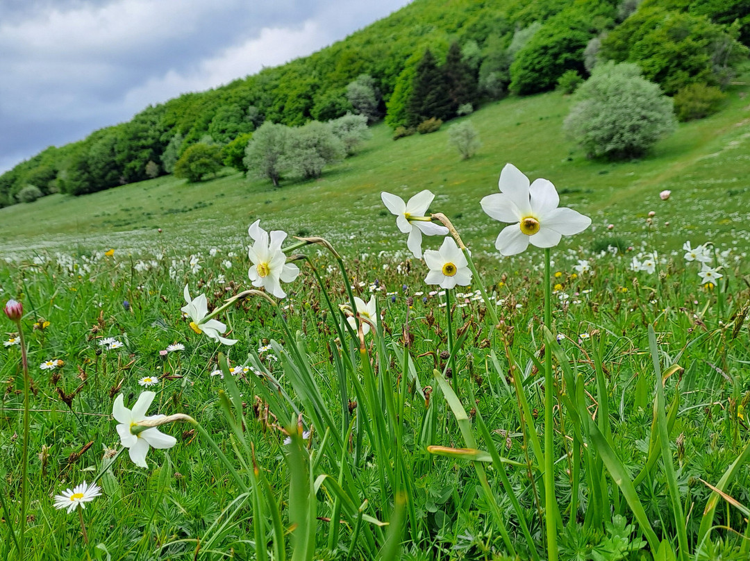 Monte San Vicino-Apiro必去景点
