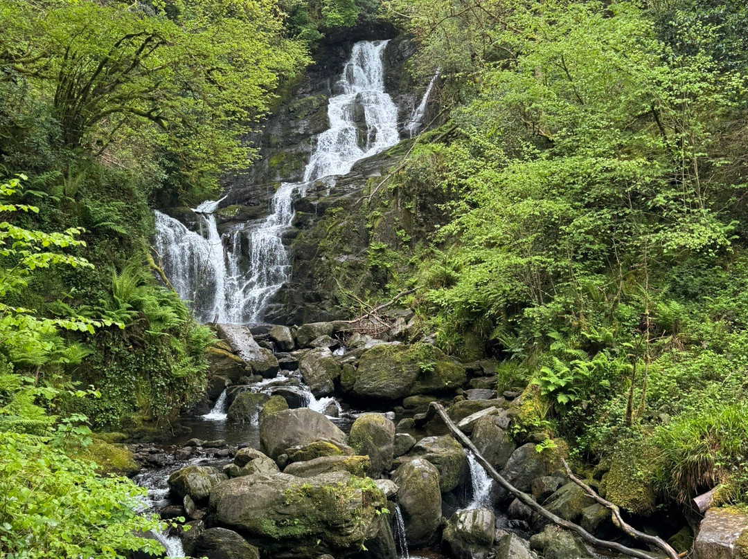 Torc Waterfall-基拉尼必去景点
