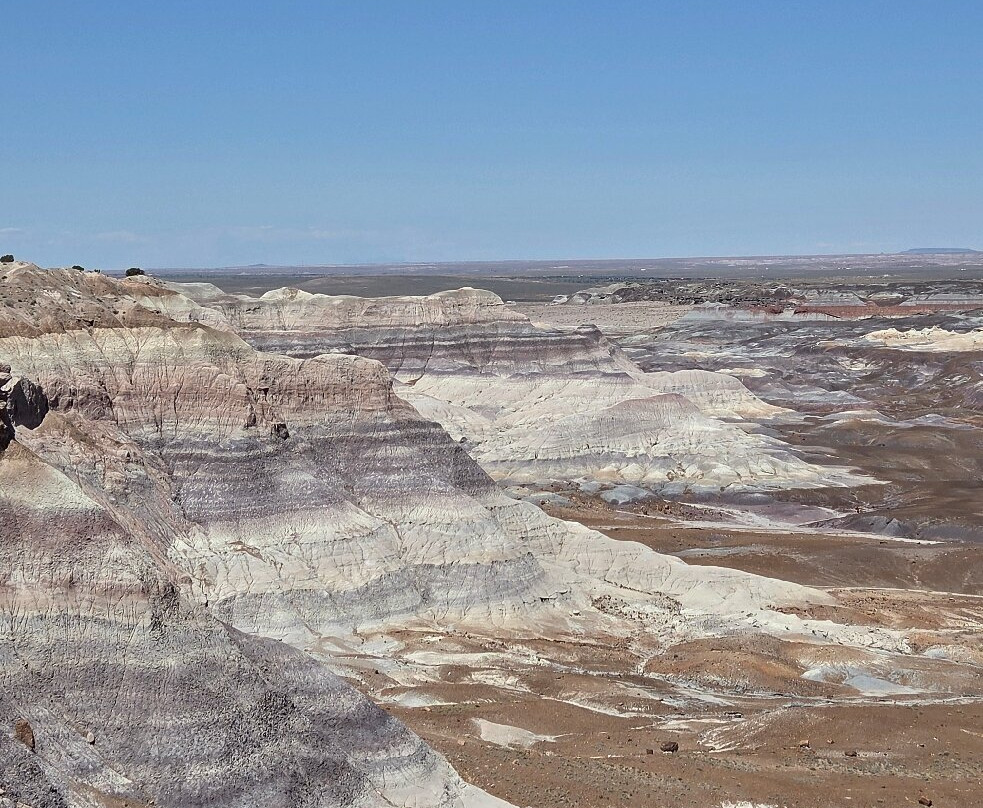 Painted Desert-石化林国家公园必去景点