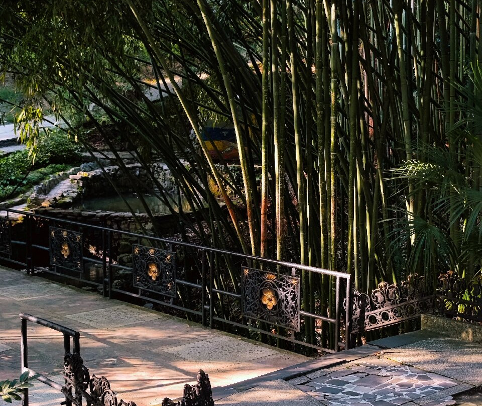 Arboretum Park-索契必去景点