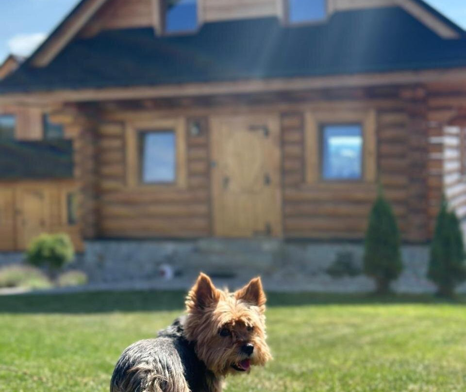 Zloty Gron Log Houses