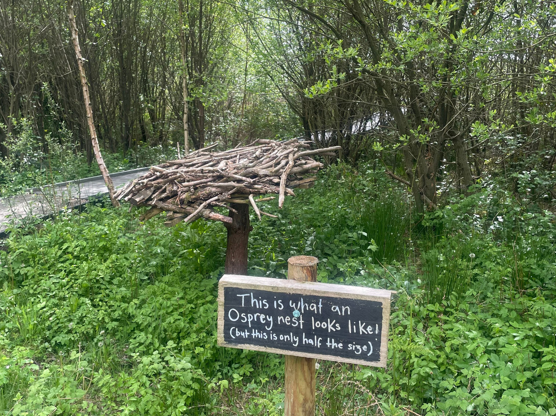 Foulshaw Moss Nature Reserve-肯德尔必去景点