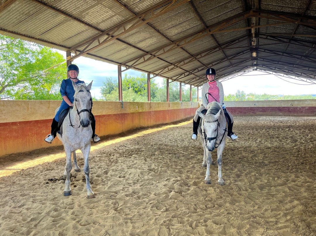 Tavira Equestrian Tourism-塔维拉必去景点
