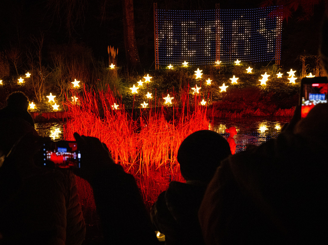 Light Up Trails