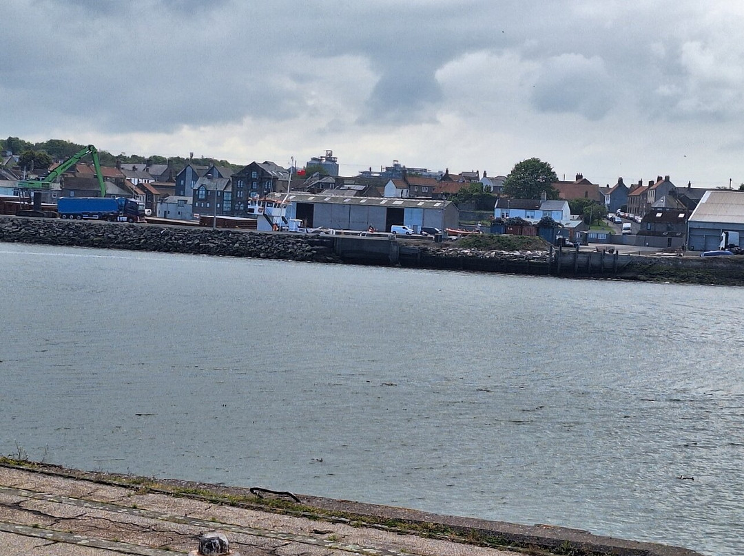 Berwick Boat Trips-特威德河畔贝里克必去景点