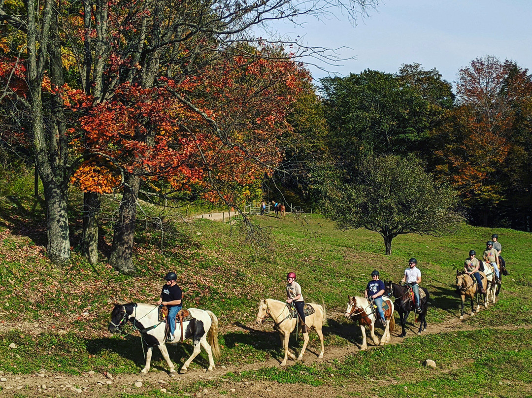 Wolcott Farms-Warsaw必去景点
