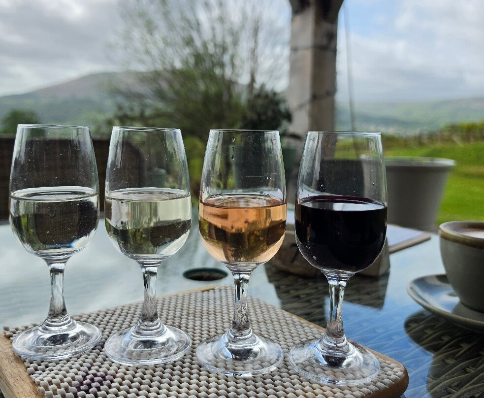 The Sugarloaf Vineyard-阿伯加文尼必去景点