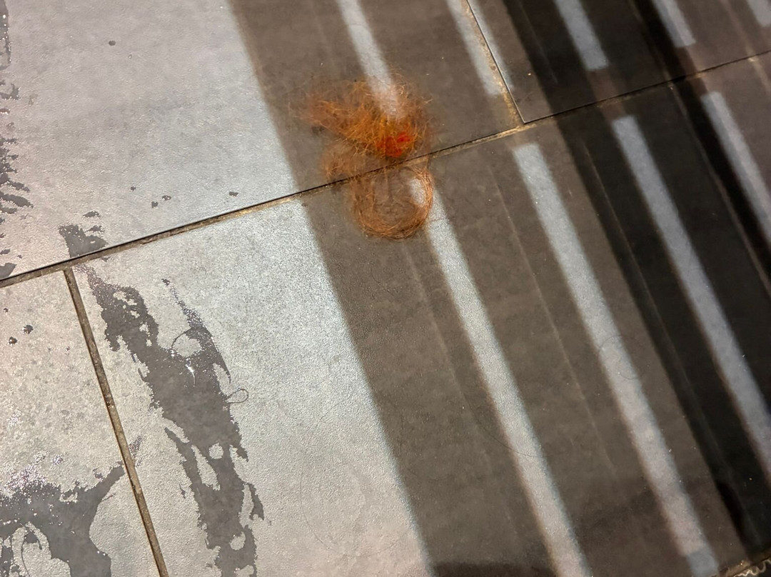 老荆棘庄园高尔夫乡村酒店主图