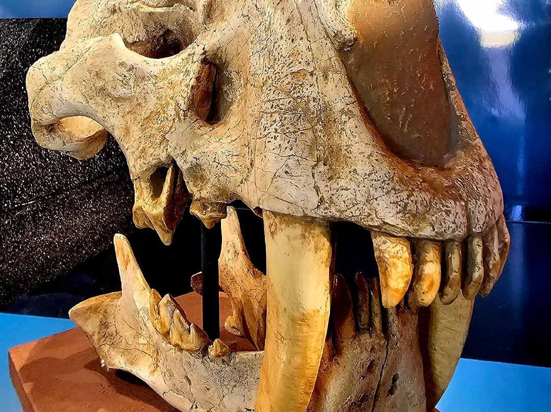 Hagerman Fossil Beds National Monument-Hagerman必去景点