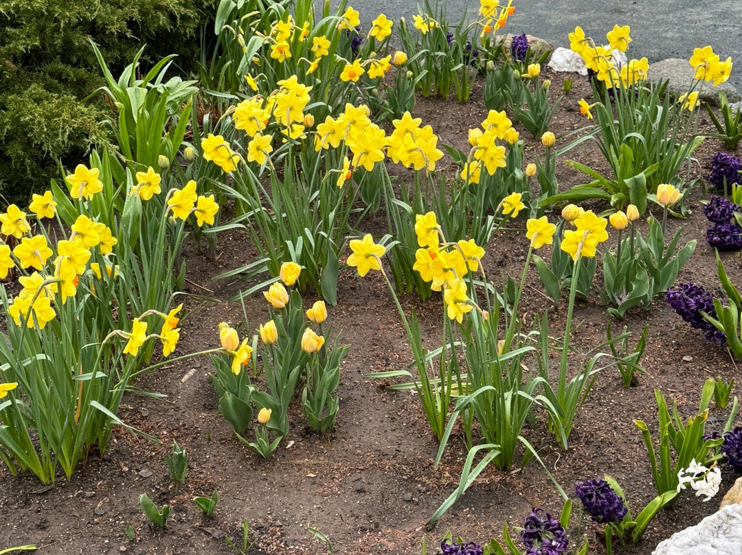 Halifax Public Gardens-哈利法克斯必去景点