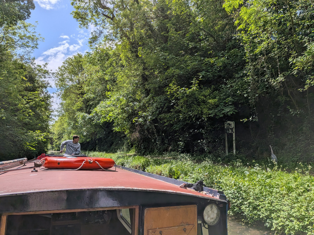 Narrowboat Day Hire-Tring必去景点