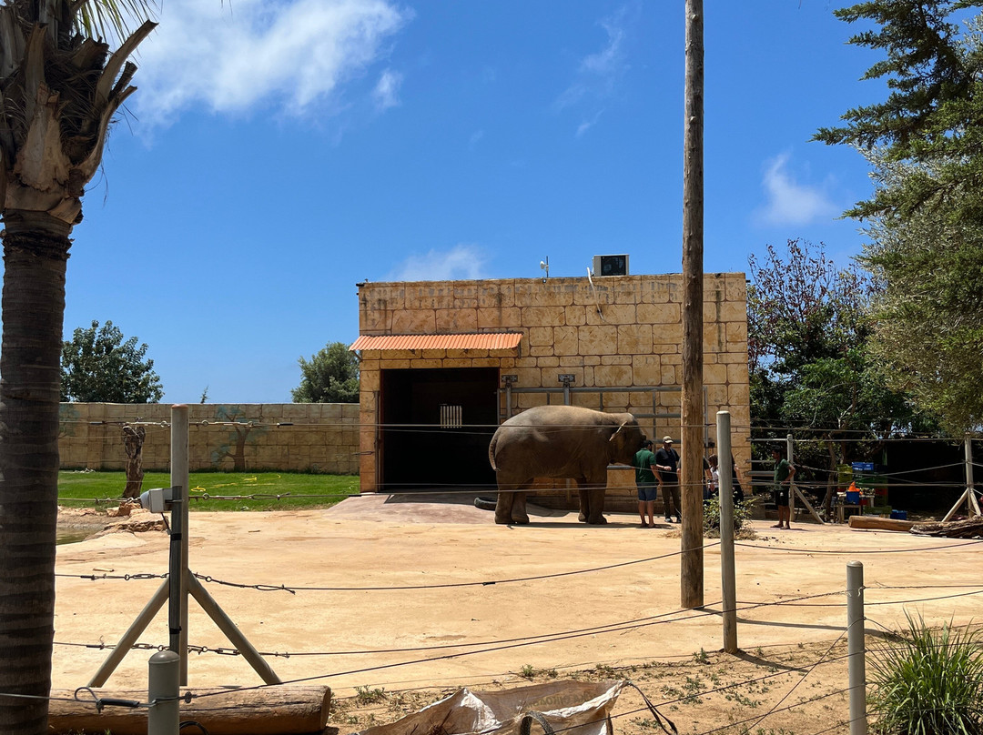 Pafos Zoo-帕福斯必去景点