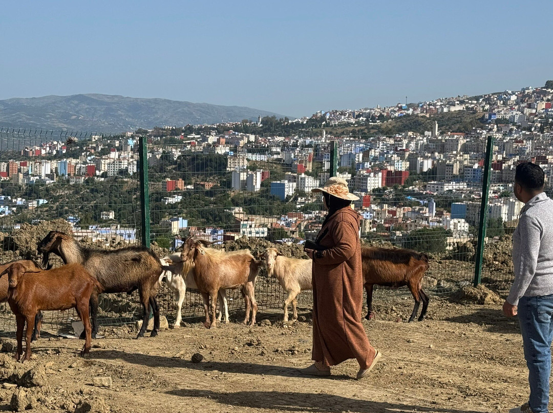 Morocco Colourful Tours-卡萨布兰卡必去景点
