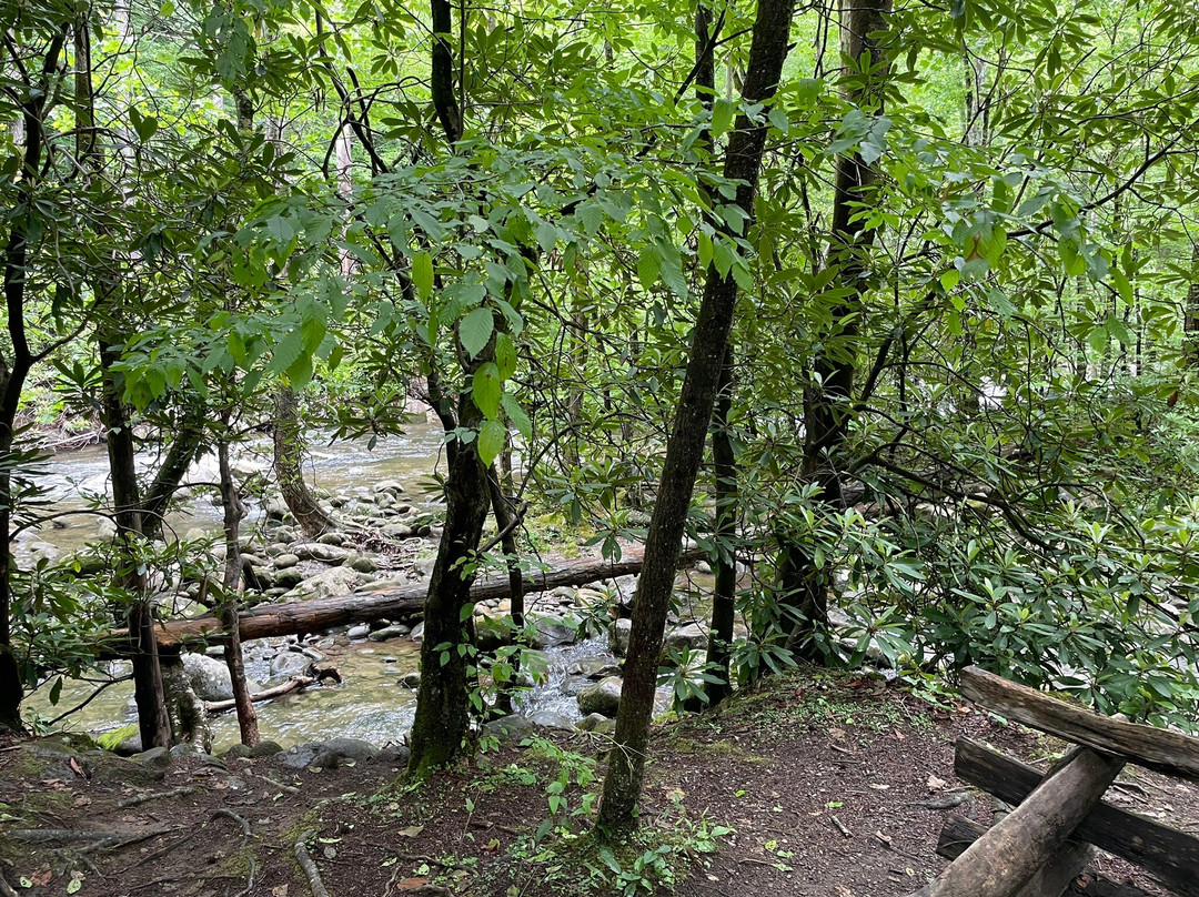 Sugarlands Valley Nature Trail-大雾山国家公园必去景点