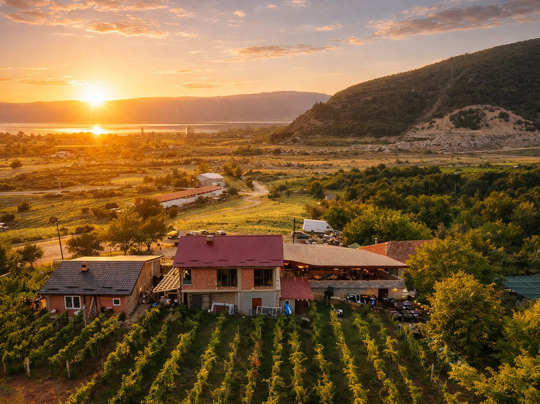 S&S Winery - Ohrid-奥赫里德必去景点