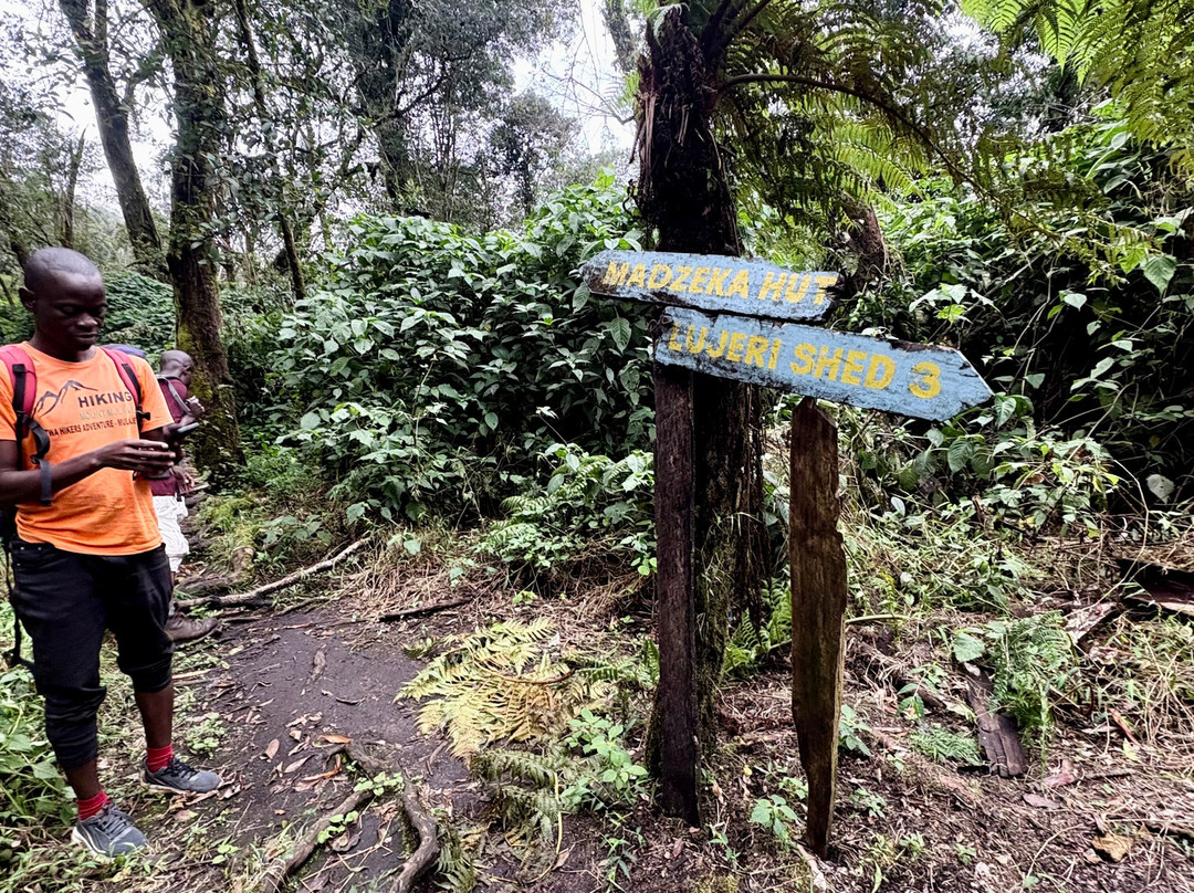 Mulanje Mountain Tour Guide-姆兰杰必去景点