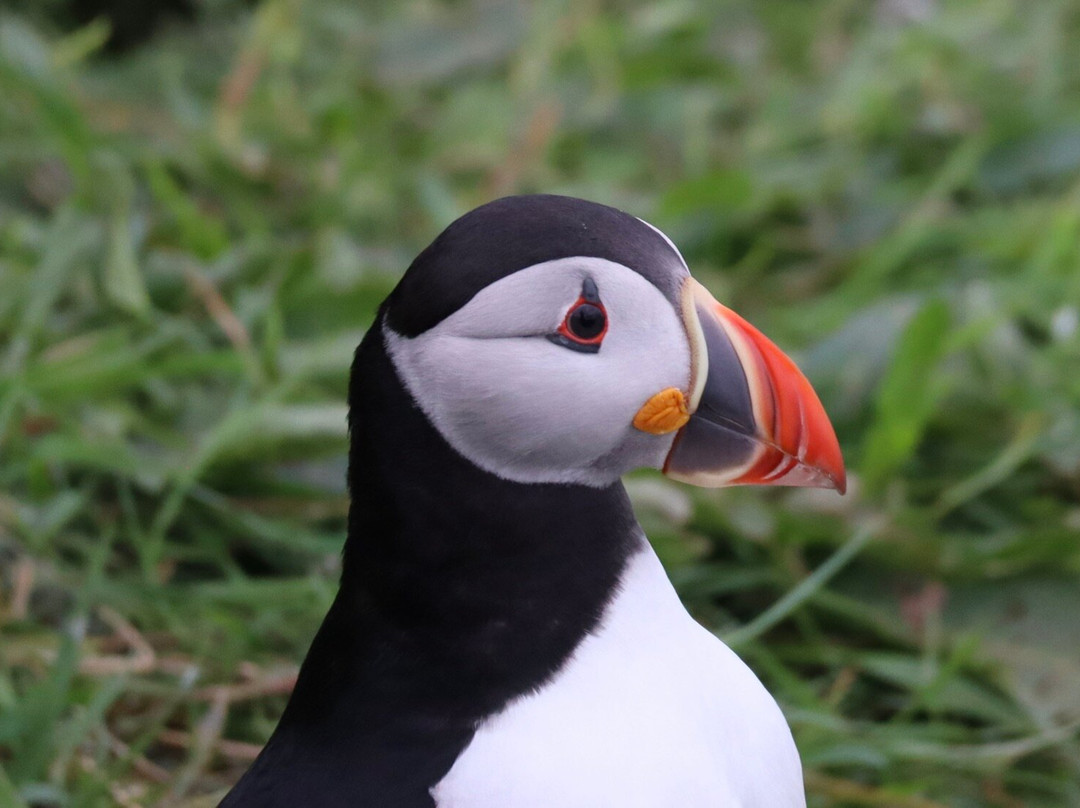 Isle of Lunga-The Hebrides必去景点