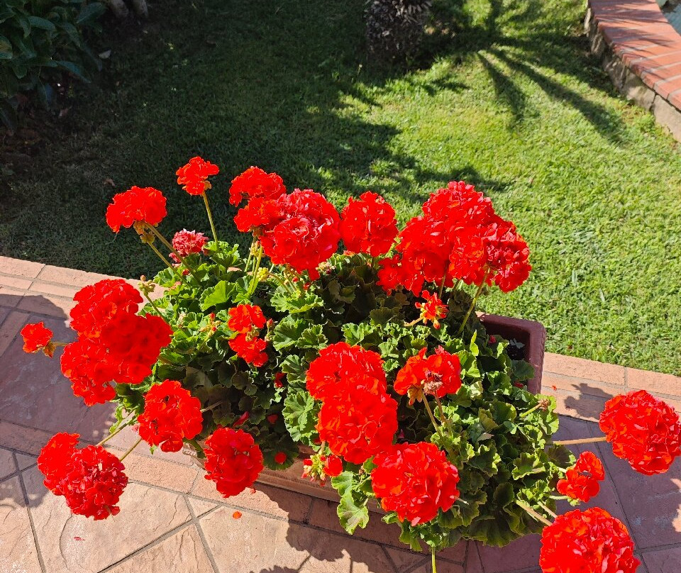 Bed and Breakfast Agapantus主图