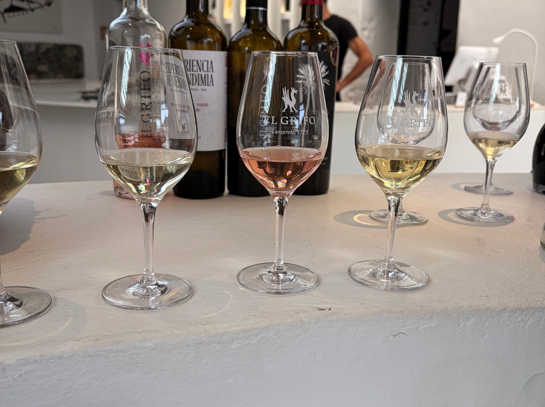 El Grifo - Museo del Vino-San Bartolome必去景点