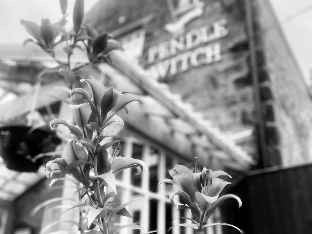 The Pendle Witch Hotel