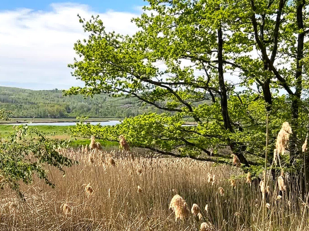Annapolis Royal Historic Gardens-安纳波利斯罗亚尔必去景点