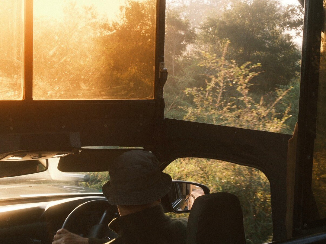 Southern Kruger Safaris-玛洛斯帕克必去景点