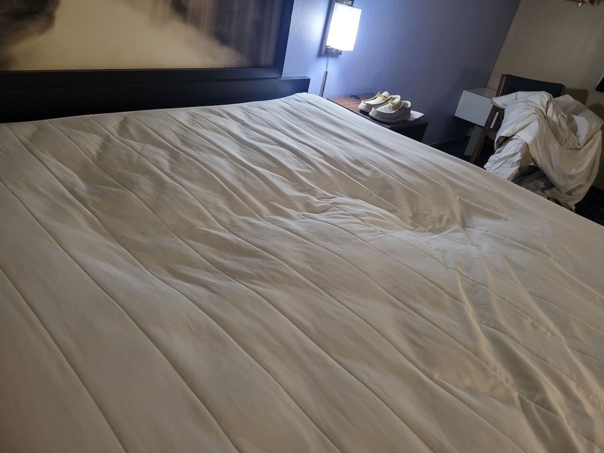 曼哈顿温德姆速8酒店-旅行者