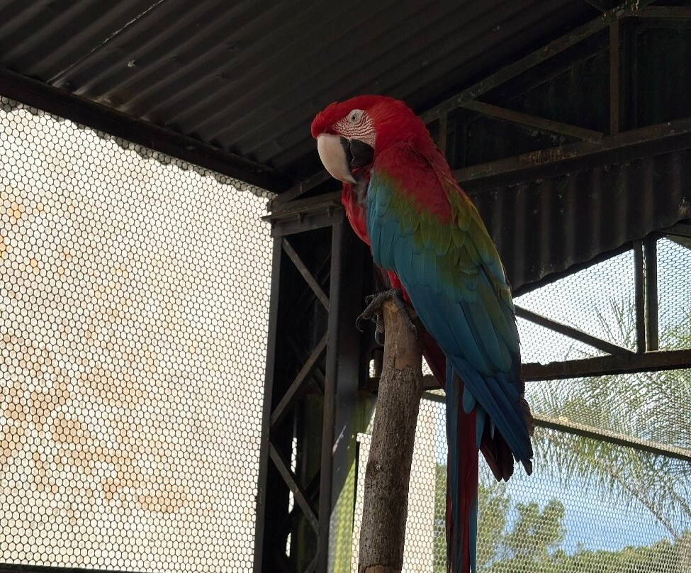 Zoo Das Aves-Pocos de Caldas必去景点