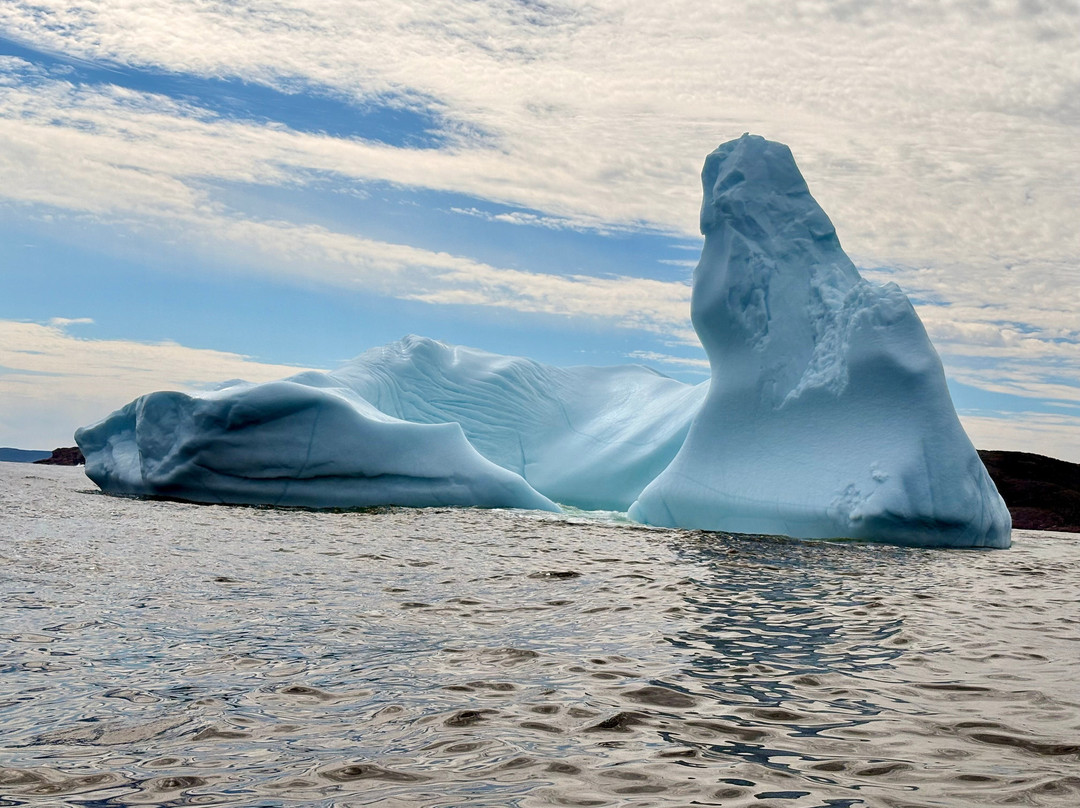 Discovery Sea Adventures-Bonavista必去景点