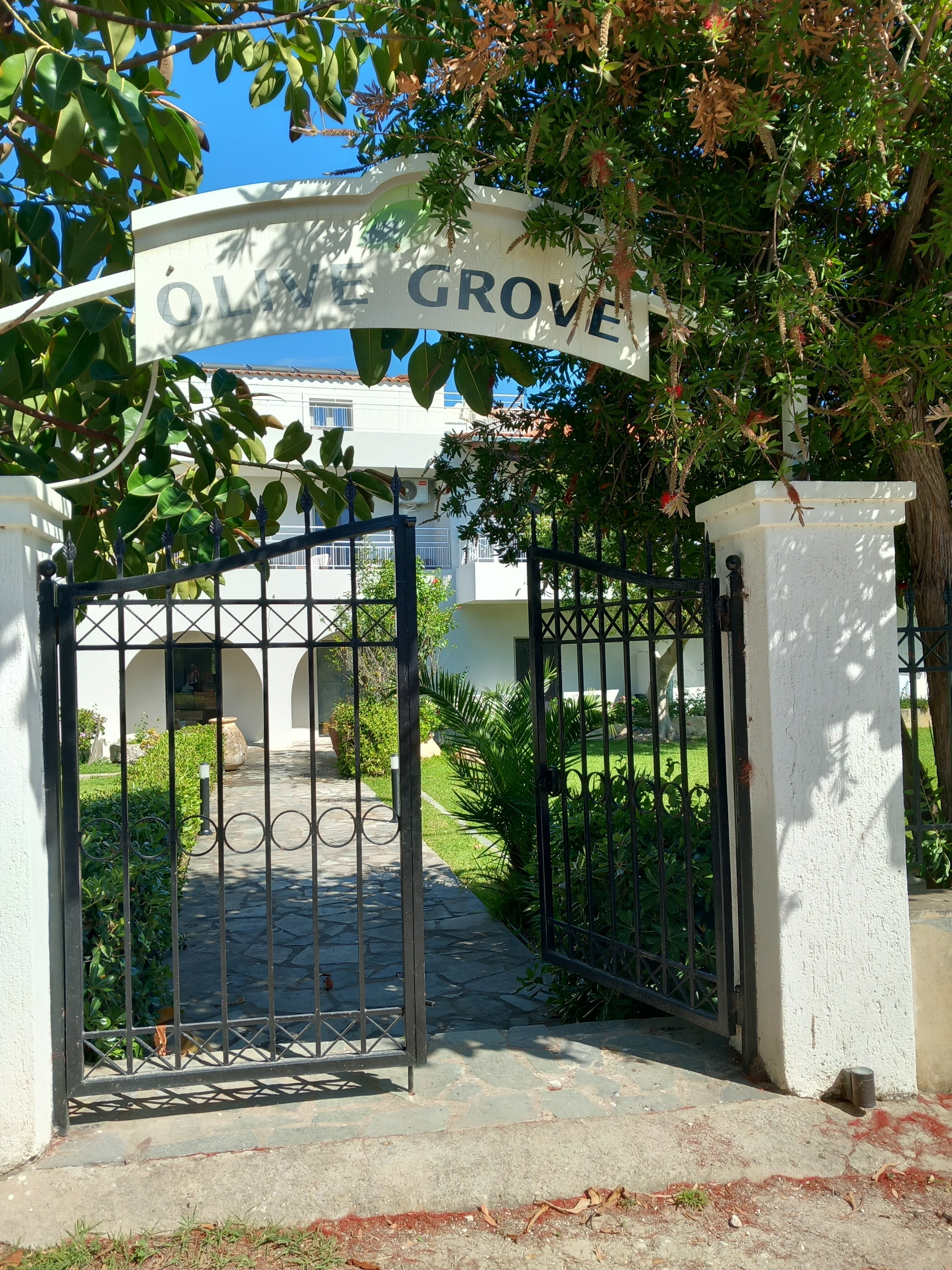 Olive Grove Studios/Apartments-旅行者