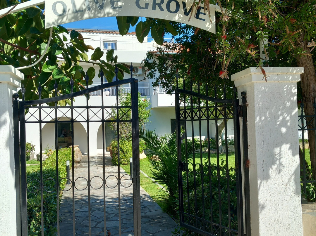 Olive Grove Studios/Apartments主图