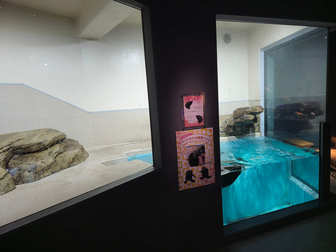 Miyajima Public Aquarium-廿日市市必去景点