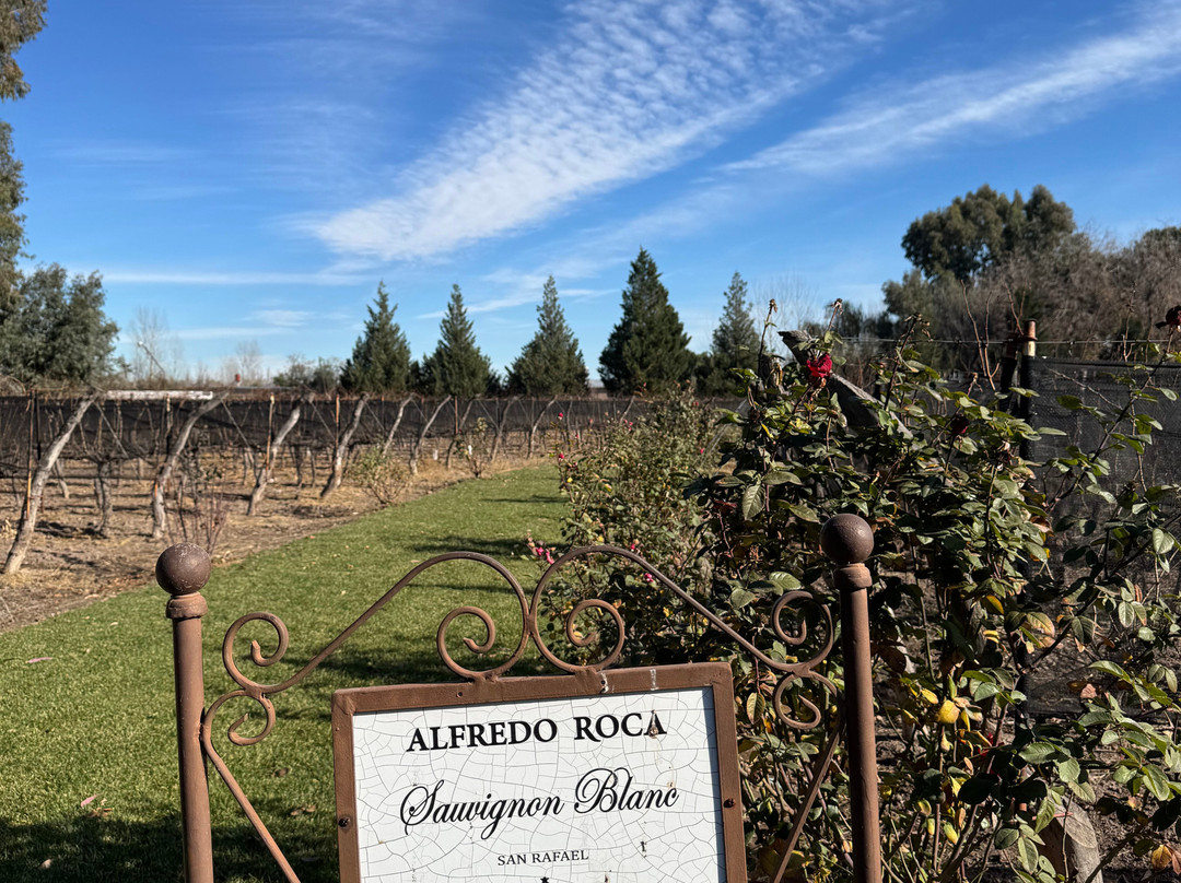 Bodega Alfredo Roca-圣拉斐尔必去景点
