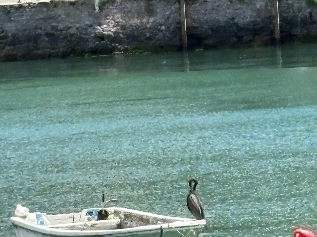 Brixham Harbour-布里克瑟姆必去景点