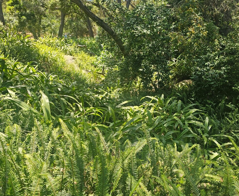 Descanso Gardens-拉肯纳达石岭必去景点