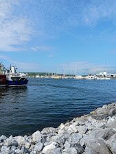 Dingle Marina-丁格尔必去景点