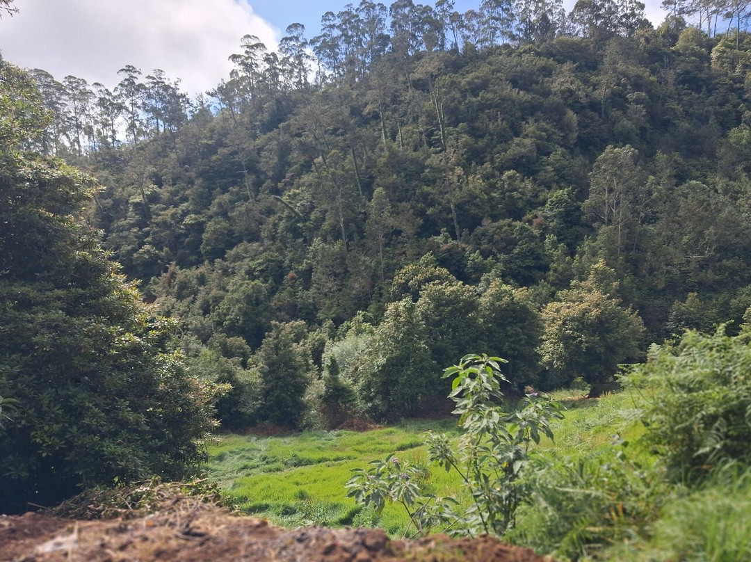 Green Devil Safari-沙尔必去景点