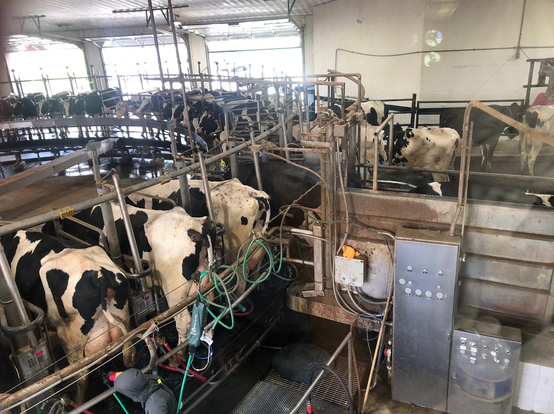 Kreider Farms-Manheim必去景点