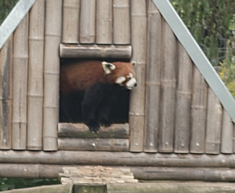 Peak Wildlife Park-Winkhill必去景点