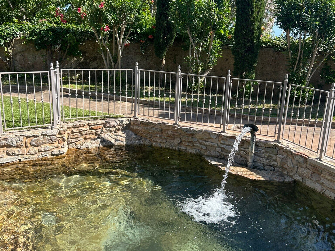 Villa Terme di Caldana B&B主图