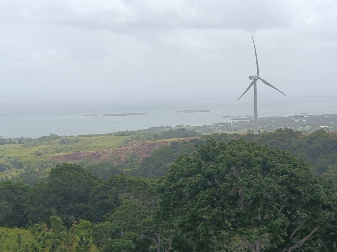 Pelican Safari Tour-Deshaies必去景点